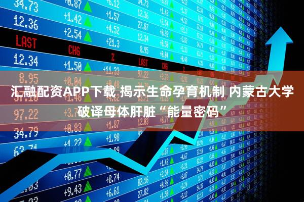 汇融配资APP下载 揭示生命孕育机制 内蒙古大学破译母体肝脏“能量密码”