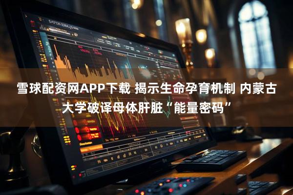 雪球配资网APP下载 揭示生命孕育机制 内蒙古大学破译母体肝脏“能量密码”
