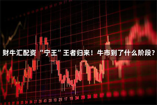财牛汇配资 “宁王”王者归来！牛市到了什么阶段？