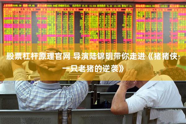 股票杠杆原理官网 导演陆锦明带你走进《猪猪侠·一只老猪的逆袭》