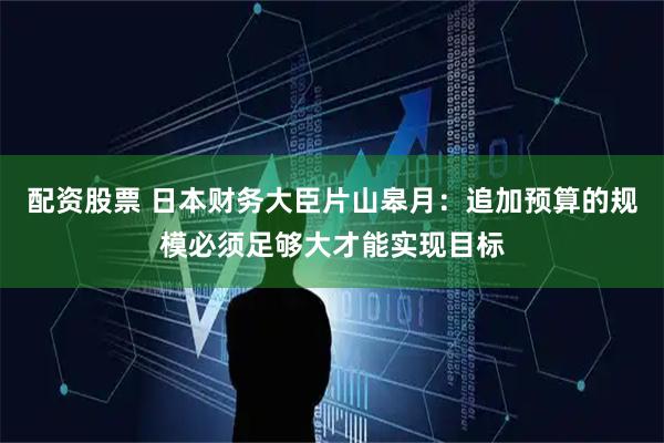 配资股票 日本财务大臣片山皋月：追加预算的规模必须足够大才能实现目标