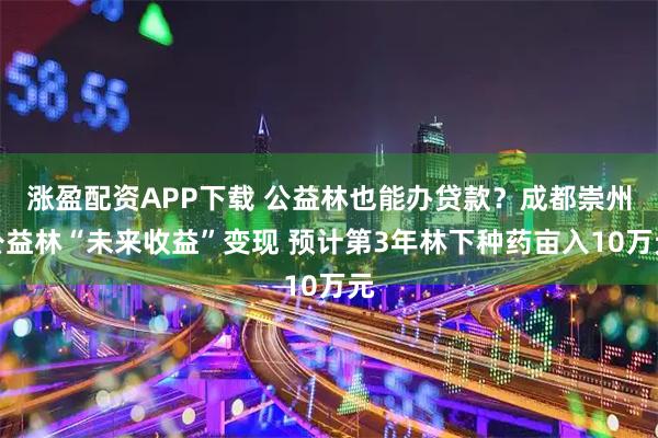 涨盈配资APP下载 公益林也能办贷款？成都崇州公益林“未来收益”变现 预计第3年林下种药亩入10万元