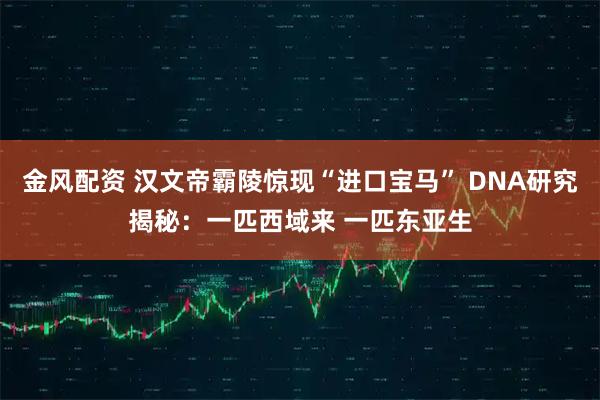 金风配资 汉文帝霸陵惊现“进口宝马” DNA研究揭秘：一匹西域来 一匹东亚生