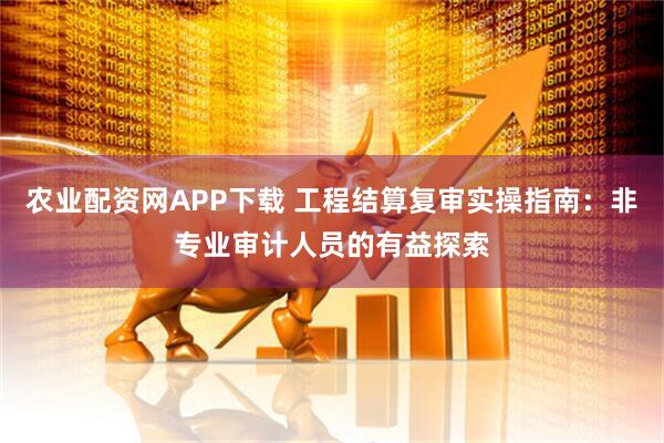 农业配资网APP下载 工程结算复审实操指南：非专业审计人员的有益探索
